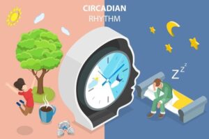 Circadian Rhythm